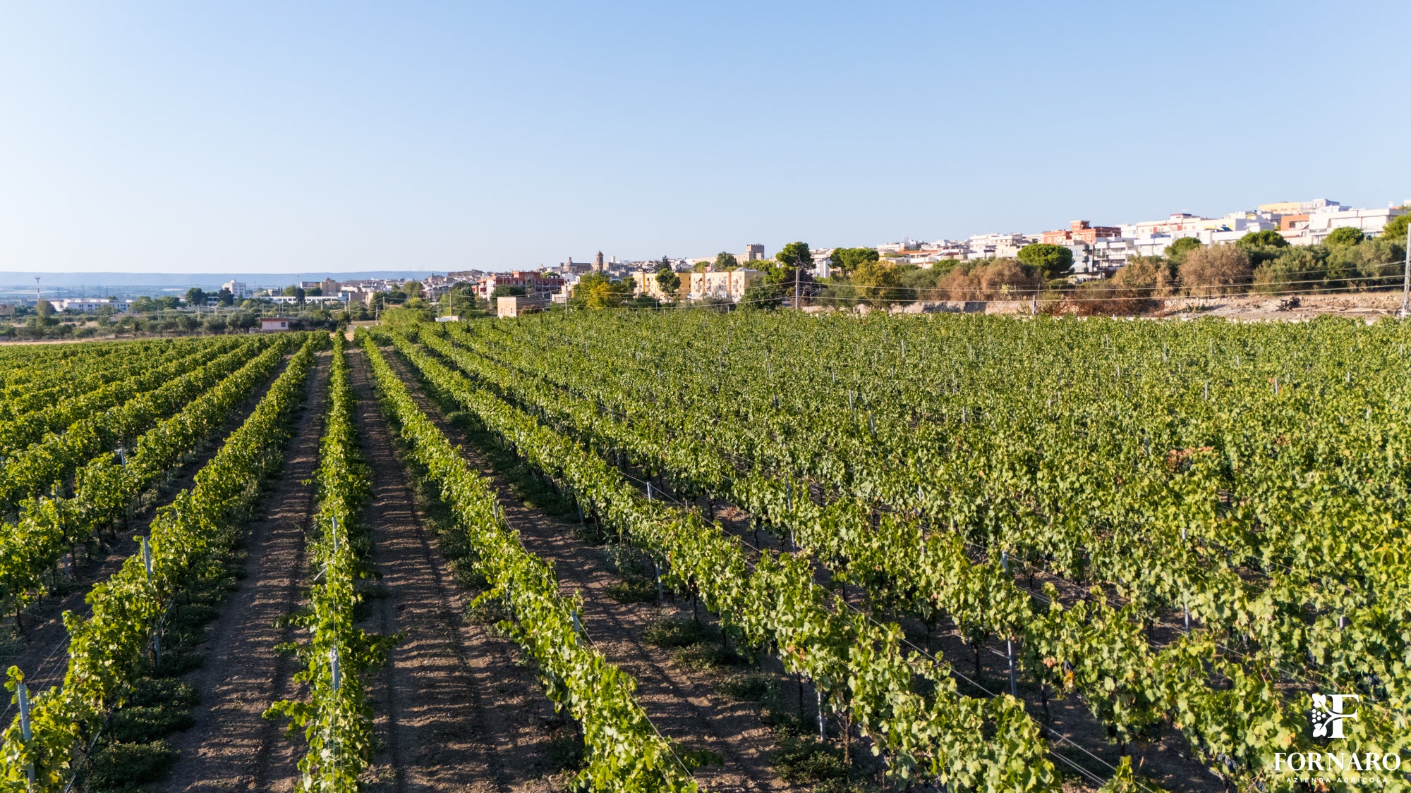 DJI_20240831180238_0065_D_AIRJOE75.JPG__PID:dac62ec5-f1d7-4628-b1f0-1582ad9fb724