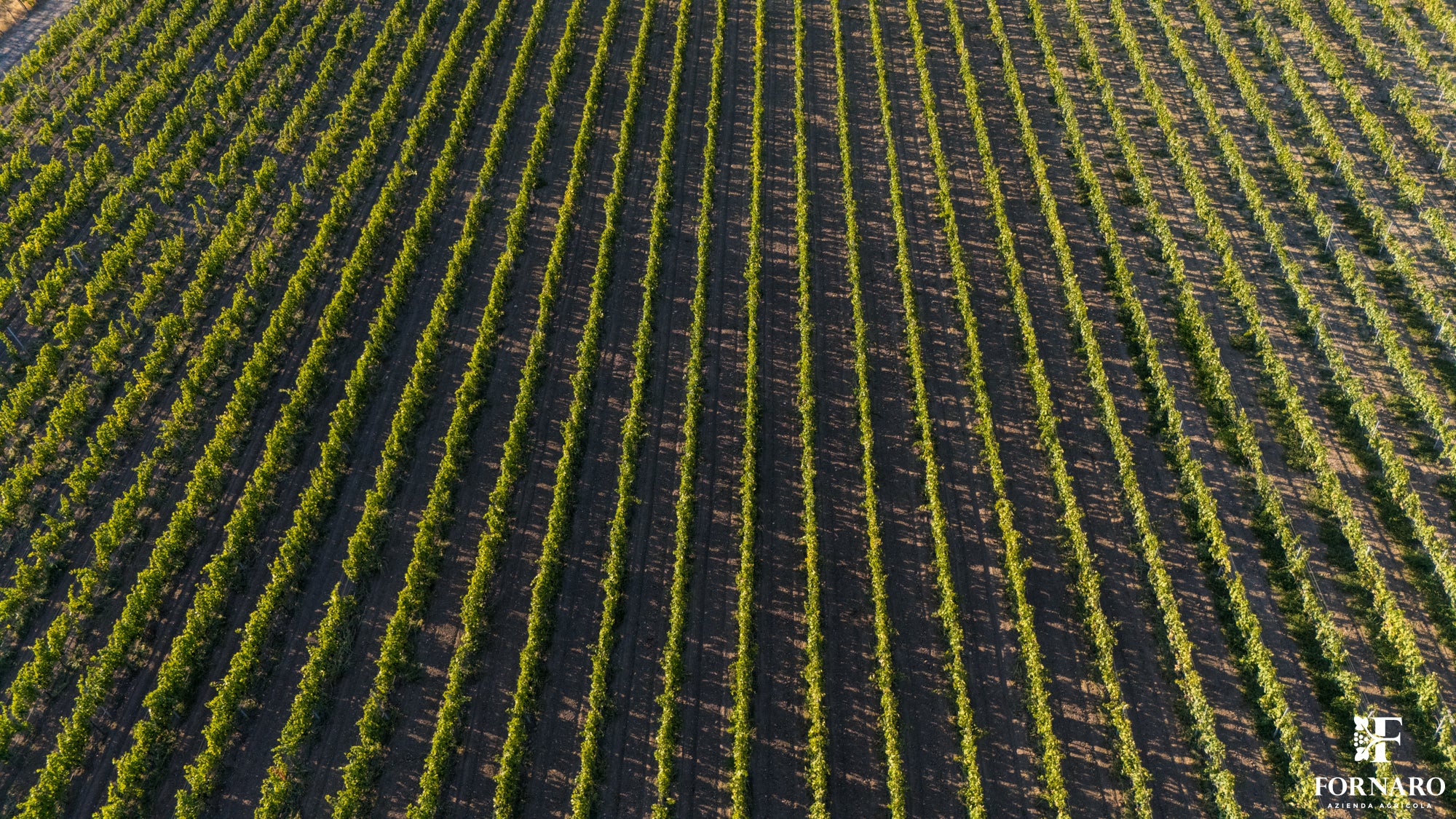 DJI_20240831180605_0073_D_AIRJOE75.JPG__PID:3c7d05eb-eb1a-4a96-a419-ca6384636684