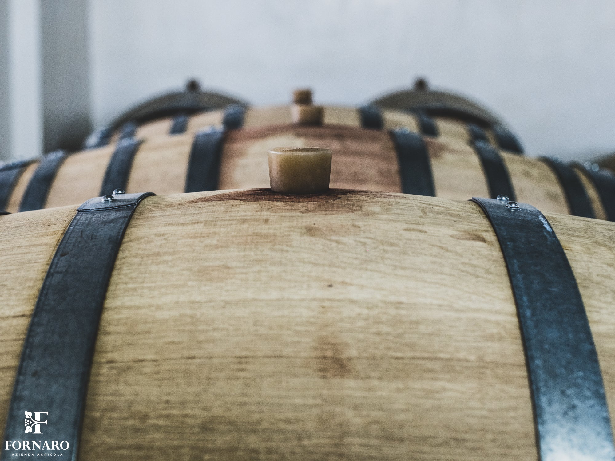 DSC_4956.JPG__PID:05ebeb1a-ba96-4419-8a63-8463668496d1