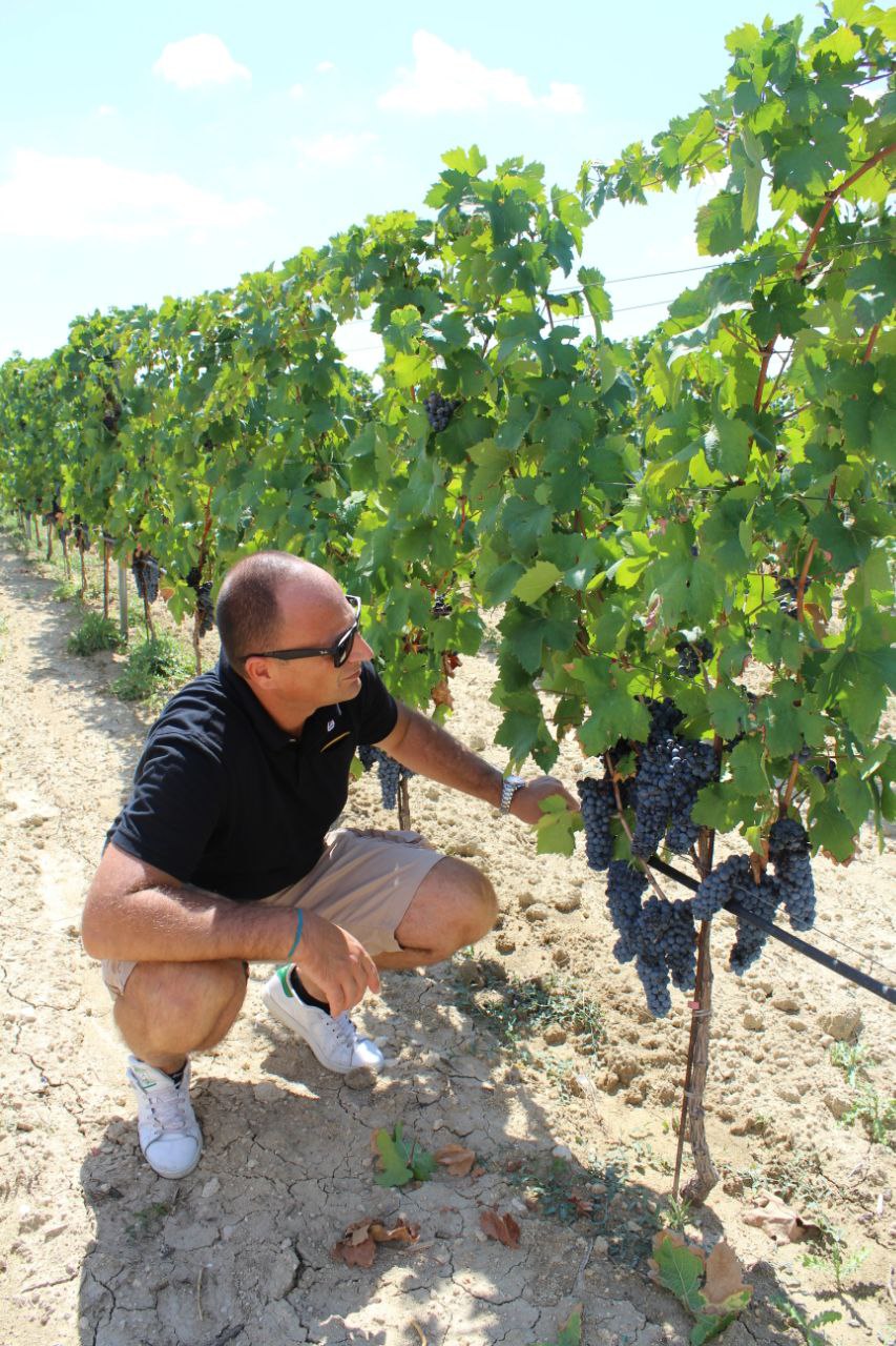 photo_5990230389005421389_y.jpg__PID:10699bfd-629b-43d3-b371-019045675301